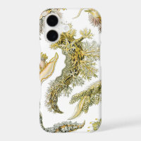 Limaces de mer, escargots par Ernst Haeckel, Anima