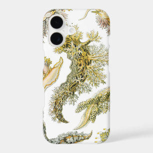 Limaces de mer, escargots par Ernst Haeckel, Anima