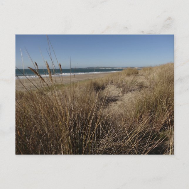 Limantour Beach at Point Reyes II Postcard (Front)