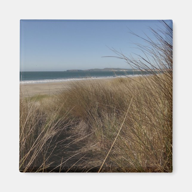 Limantour Beach at Point Reyes National Seashore I Magnet (Front)