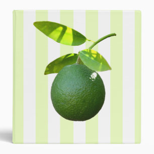 Lime 3 Ring Binder