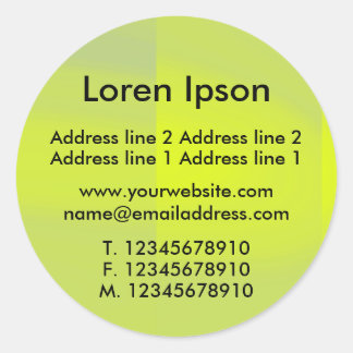 Lime Aid Business / Profile Classic Round Sticker