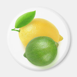 Lime and lemon magnet