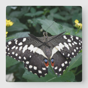 Lime Butterfly and Flowers Wall Clock