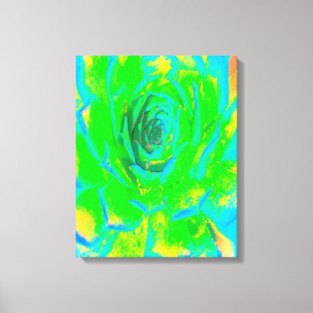 Lime Green Chartreuse Succulent Sedum Rosette Canvas Print (Front)