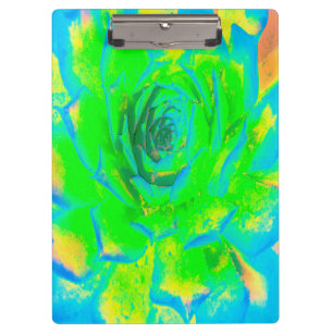 Lime Green Chartreuse Succulent Sedum Rosette Clipboard