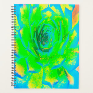 Lime Green Chartreuse Succulent Sedum Rosette Planner