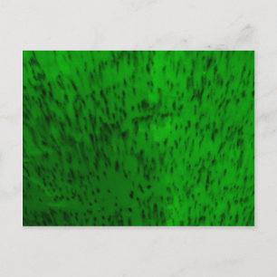 Lime Green Earthenware Postcard