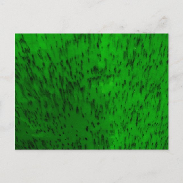 Lime Green Earthenware Postcard (Front)