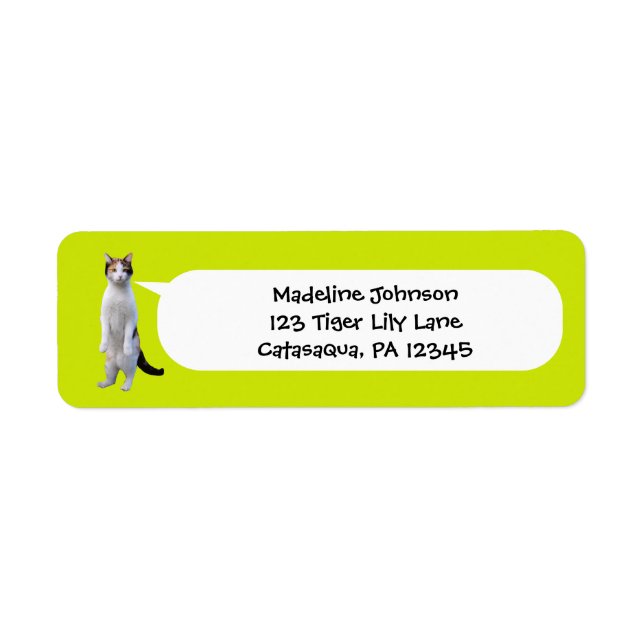 Lime Green Funny Standing Cat Photo Retour Adresse (Devant)