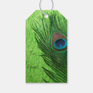 Lime Green Peacock Gift Tags