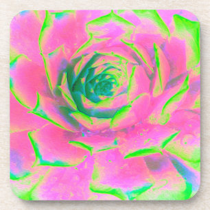 Lime Green Succulent Sedum Detail Coaster