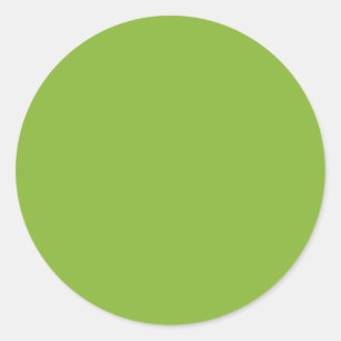 LIME GREEN V2 Pop of Colour You Personalize Classic Round Sticker