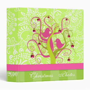 Lime & Plum Christmas Photos Binder With Stripes