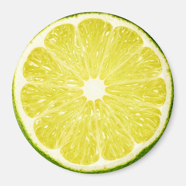 Lime Slice Magnet (Front)