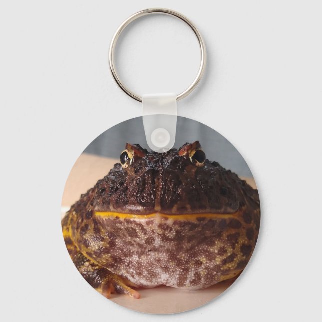 Lime the frog keychain (Front)