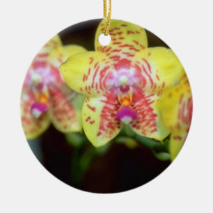 Lime Vanda flowers Ceramic Ornament