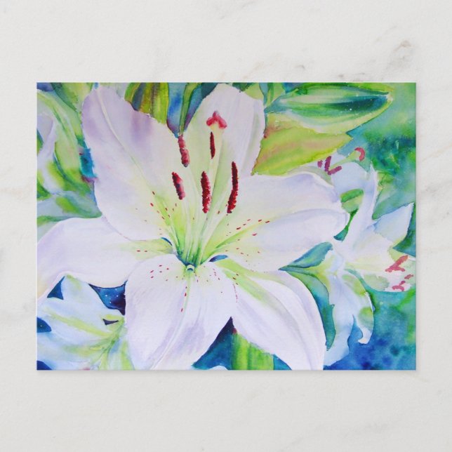 Lime Zest Postcard (Front)