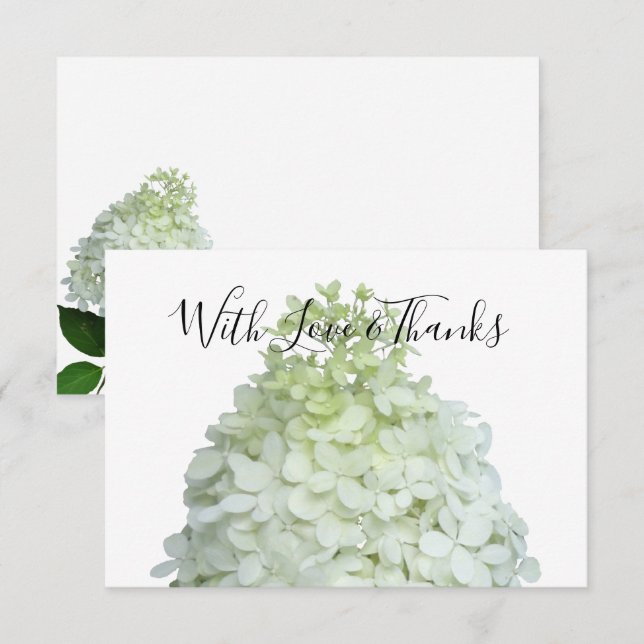 Limelight Hydrangea Blank Floral Thank You Cards (Front/Back)