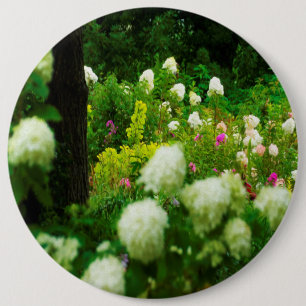 Limelight Hydrangeas in My Rubio Garden 6 Inch Round Button