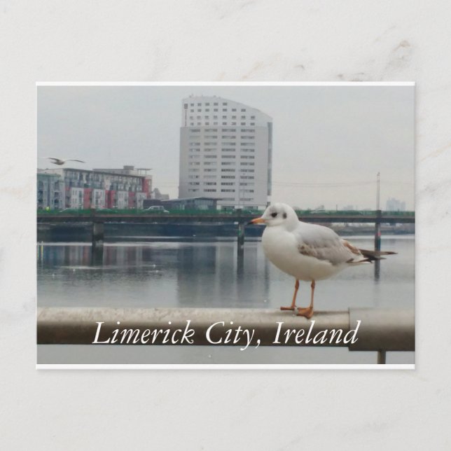 Limerick City, Ireland Postcard (Front)