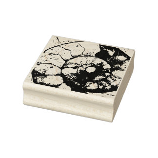 Limestone ammonite fossil  rubber stamp