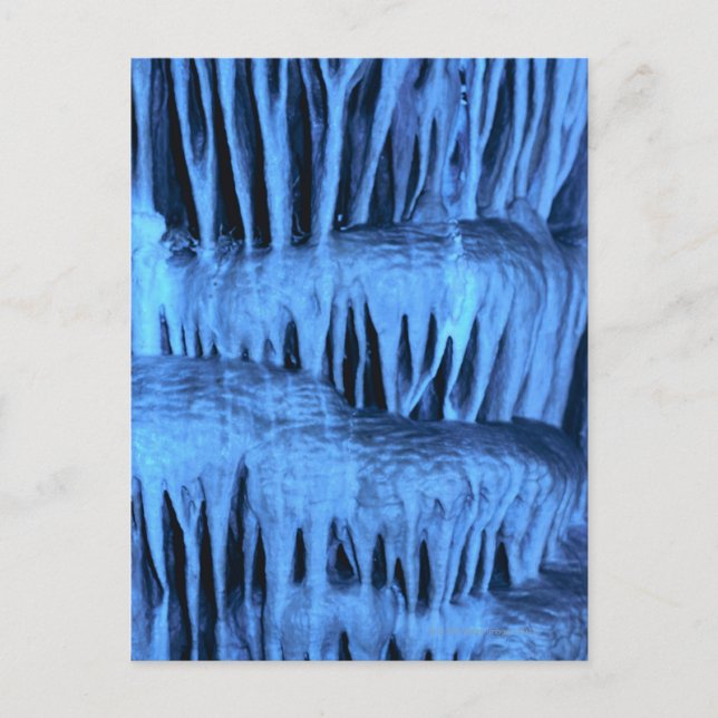 Limestone stalactites ,Lehman Caves ,Great Basin Postcard (Front)