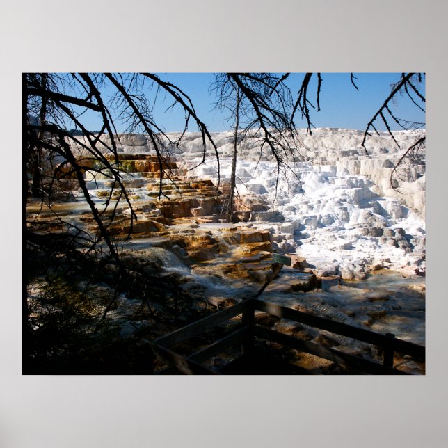 Limestone terrace Mammoth Hot Spring Yellowstone Poster (Front)