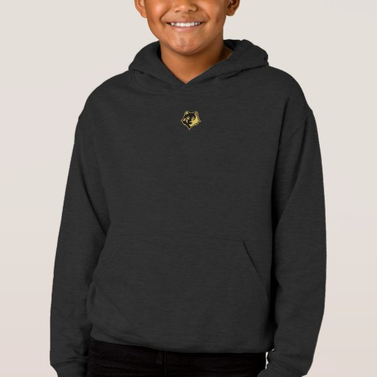 LIMITED EDITION HOODIE | ORIGNS