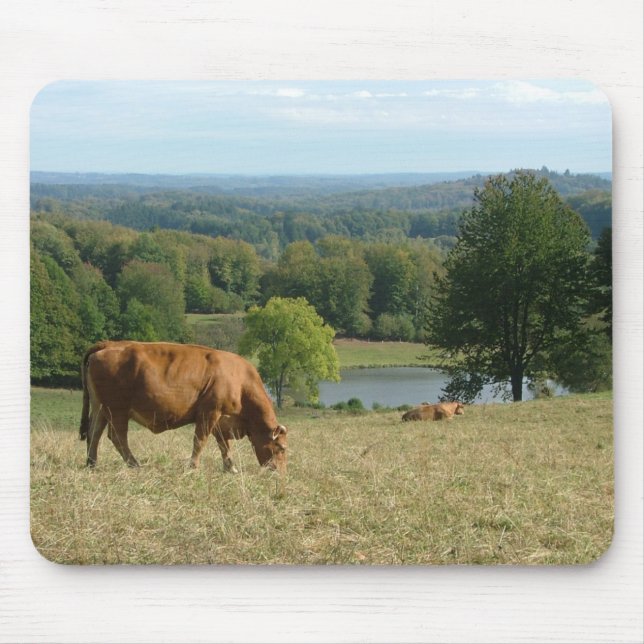 Limousin cattle in the Creuse Mouse Pad (Front)