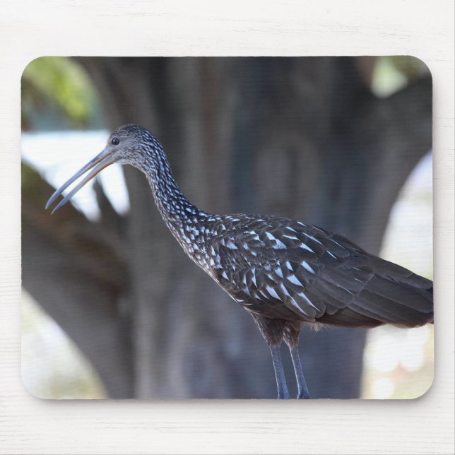 Limpkin Mouse Pad (Front)