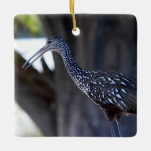 Limpkin, The Crying Bird Ceramic Ornament