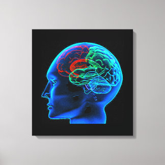 L'impression en toile étirée du cerveau humain