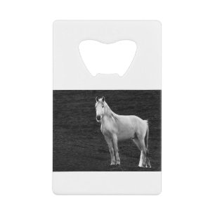 LIN10BW The Stance.tif Credit Card Bottle Opener