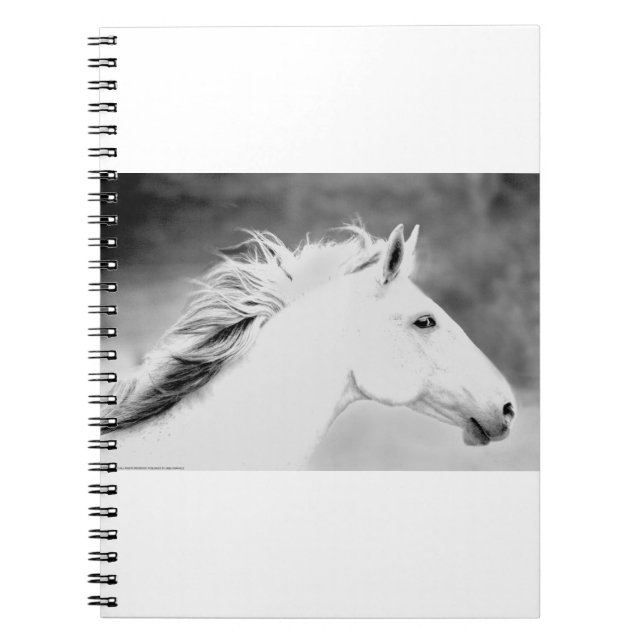 LIN26BW Mane in the Wind.tif Notebook (Front)