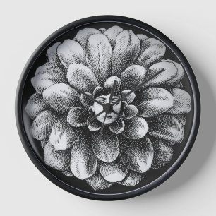 lina cavalieri clock