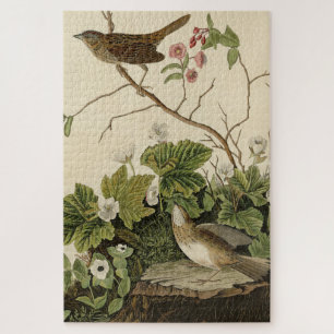Lincoln Finch (Sparrow) Audubon's Birds of America Jigsaw Puzzle