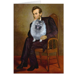 Lincoln - Keeshond (F)