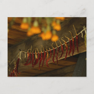 Lincoln Log Cabin Postcard