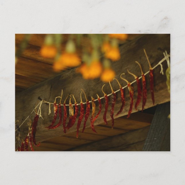 Lincoln Log Cabin Postcard (Front)