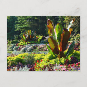 Lincoln, Nebraska Sunken Gardens #224 Postcard