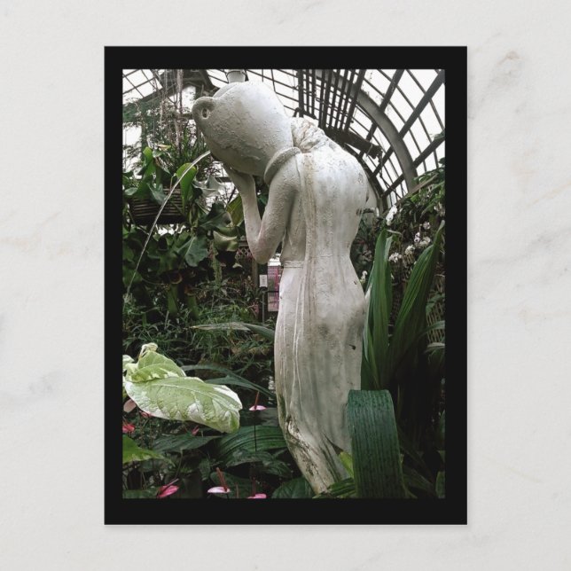 lincoln park conservatory :: fountain postcard (Front)