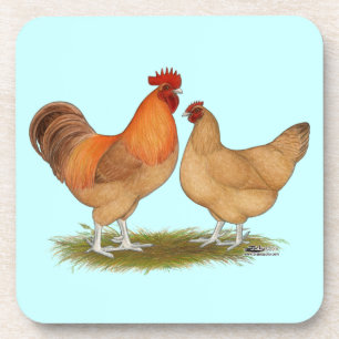 Lincolnshire Buff Chickens Coaster