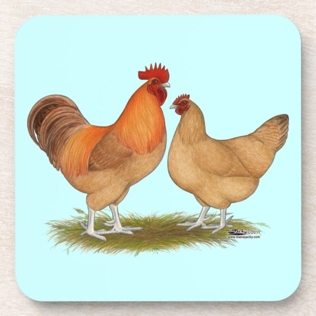 Lincolnshire Buff Chickens Coaster (Front)