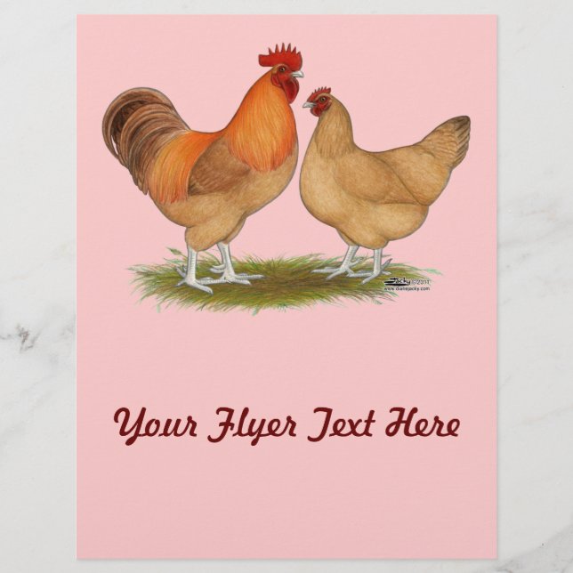 Lincolnshire Buff Chickens Flyer (Front)