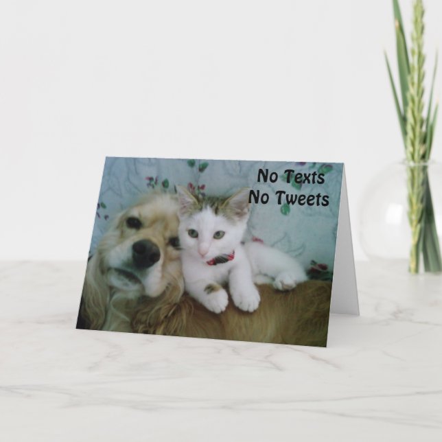 *LINDA* OBTENEZ LA CARTE DE BIEN (Devant)