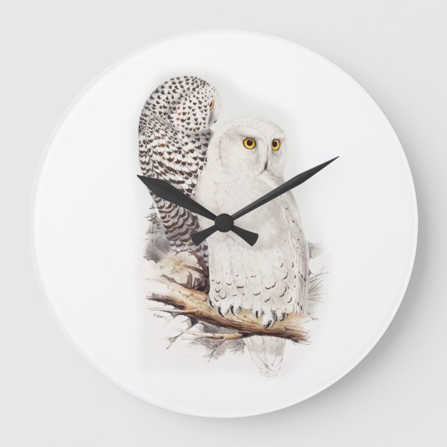 Lindas corujas brancas na neve (snowy owls) large clock (Front)