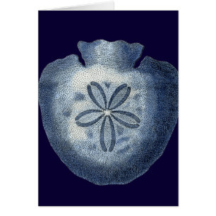 L'indigo écosse III