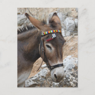 Lindos Donkey Postcard