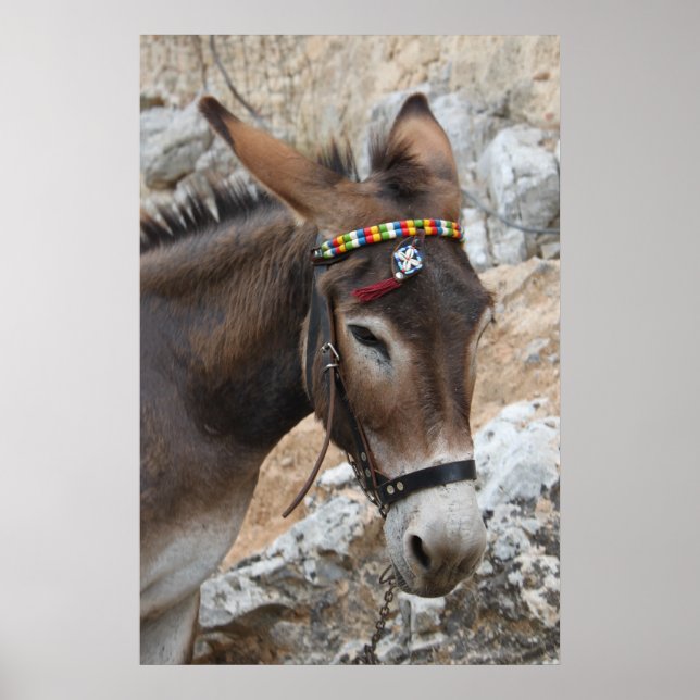 Lindos Donkey Poster (Front)